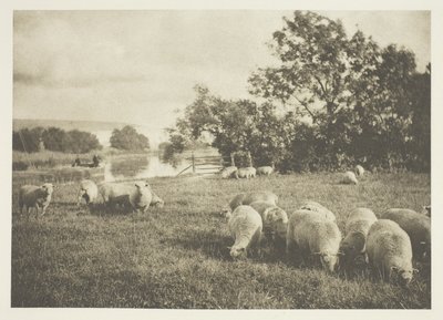 Bir Koyun Çalışması by J. B. B. Wellington