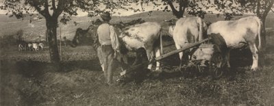 Kamera Çalışması: Çiftçilik Ekibi by J. Craig Annan