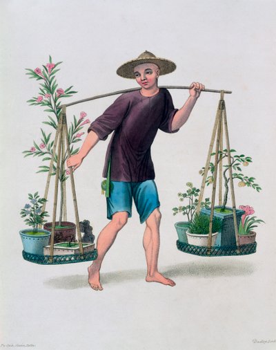 'Meyve Ağaçları ve Çiçekleri Olan Bir Kapıcı', Çin, 1800 by J Dadley