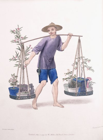 Meyve Ağaçları ve Çiçeklerle Bir Kapıcı, c.1800-01 by J Dadley
