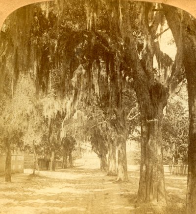 St. Augustine