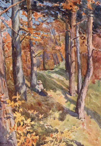  by J. Hardwicke Lewis