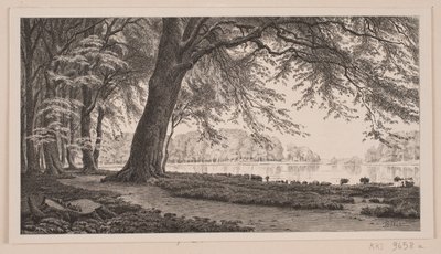 Dyrehaven