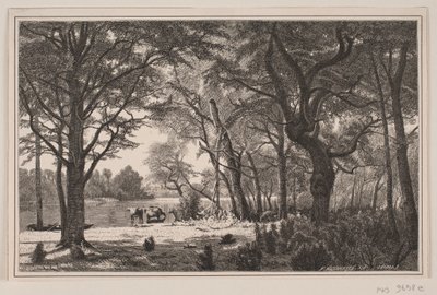 Jysk skovpartisi by J. Hildebrand