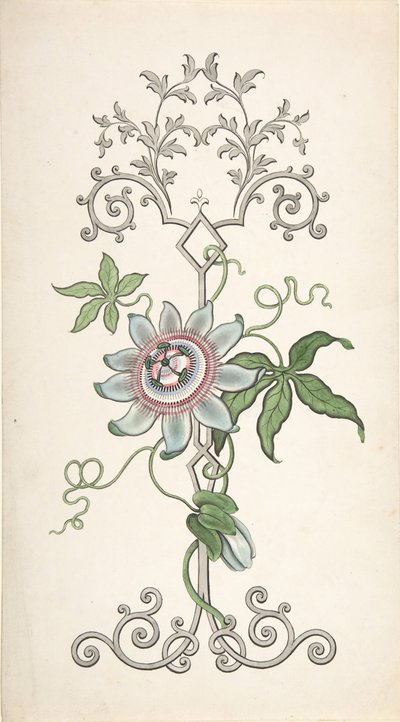 Bir Tutku Çiçeği Merkezli Pano Dekorasyon Tasarımı, 1828-40. by J Hulme