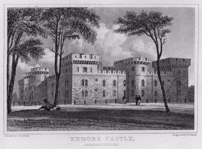 Enmore Kalesi, Somersetshire (gravür) by John Preston Neale