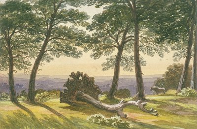 Hampstead Heath, Londra, c1830 by J Powell