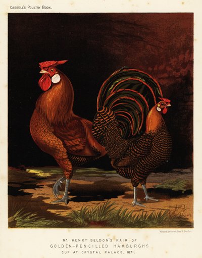 Altın kalemli Hamburglar by J. W. (after) Ludlow
