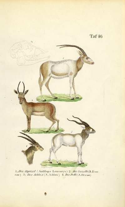  by J. W. Tenhaeff