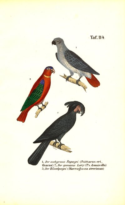  by J. W. Tenhaeff