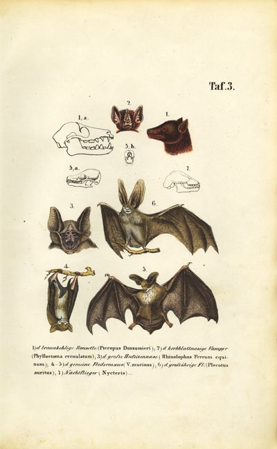  by J. W. Tenhaeff