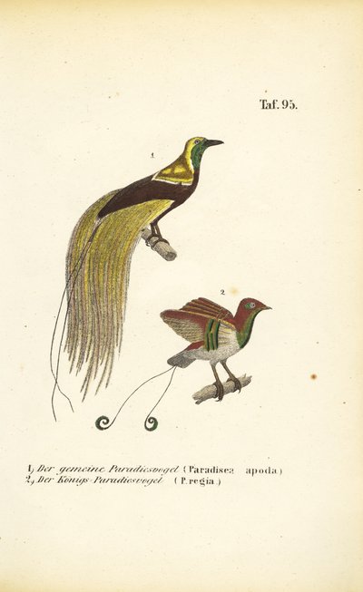  by J. W. Tenhaeff