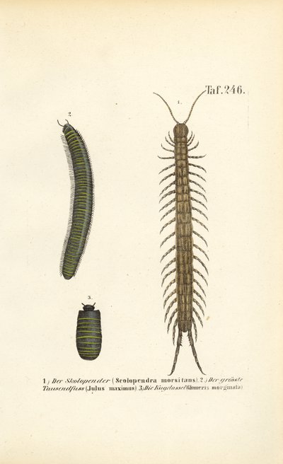  by J. W. Tenhaeff