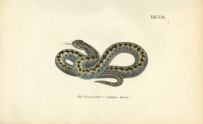  by J. W. Tenhaeff