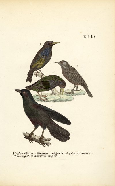  by J. W. Tenhaeff