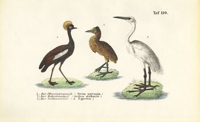  by J. W. Tenhaeff