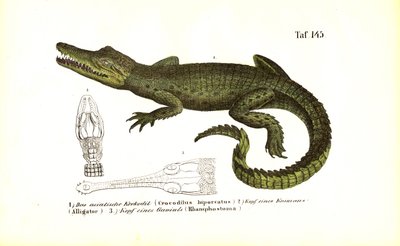  by J. W. Tenhaeff