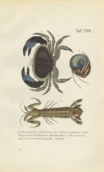  by J. W. Tenhaeff