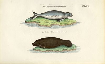  by J. W. Tenhaeff