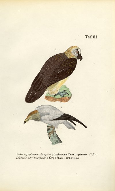  by J. W. Tenhaeff