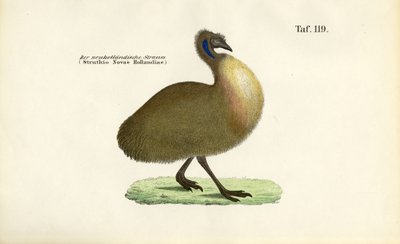  by J. W. Tenhaeff