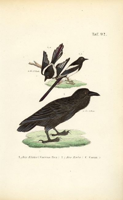  by J. W. Tenhaeff