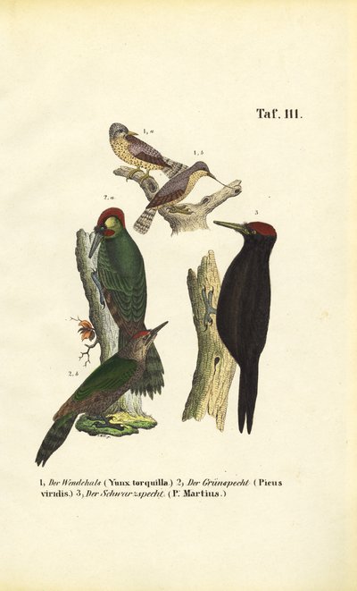  by J. W. Tenhaeff