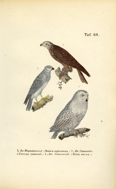  by J. W. Tenhaeff