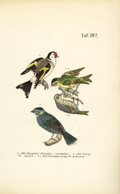  by J. W. Tenhaeff