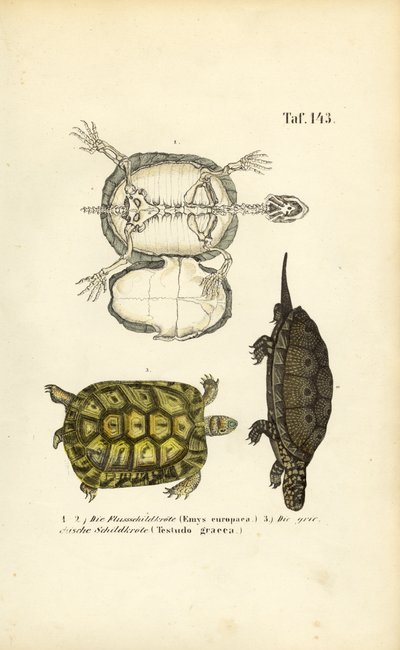  by J. W. Tenhaeff