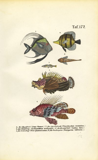  by J. W. Tenhaeff