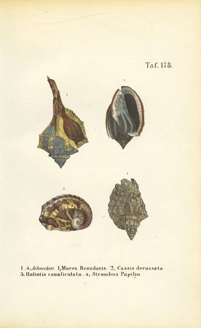  by J. W. Tenhaeff