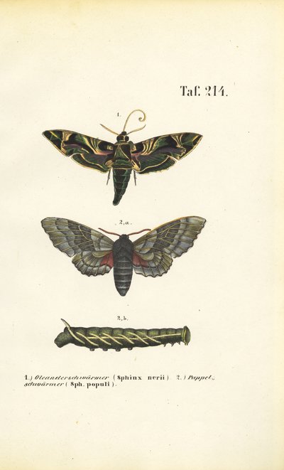  by J. W. Tenhaeff