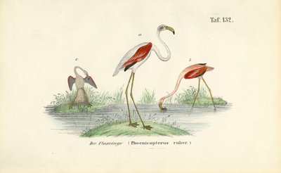  by J. W. Tenhaeff