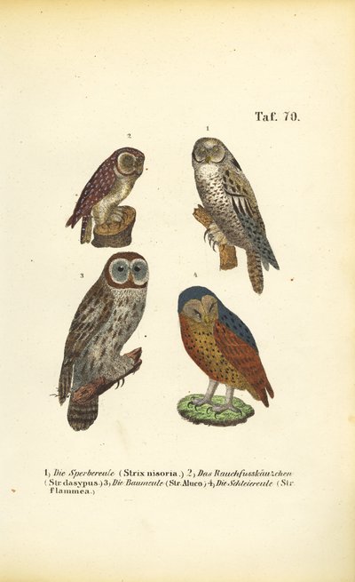  by J. W. Tenhaeff