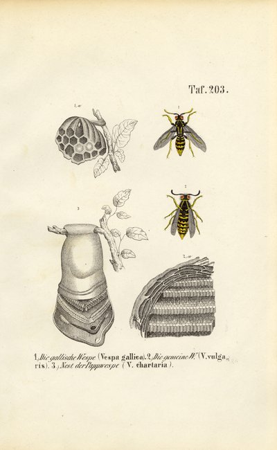  by J. W. Tenhaeff