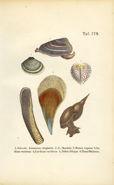  by J. W. Tenhaeff