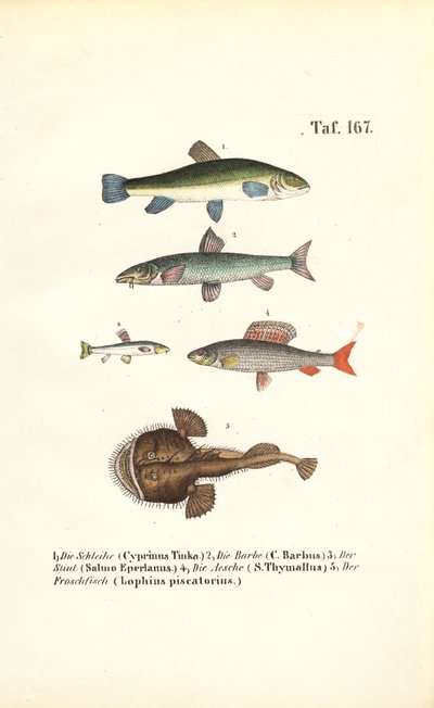  by J. W. Tenhaeff