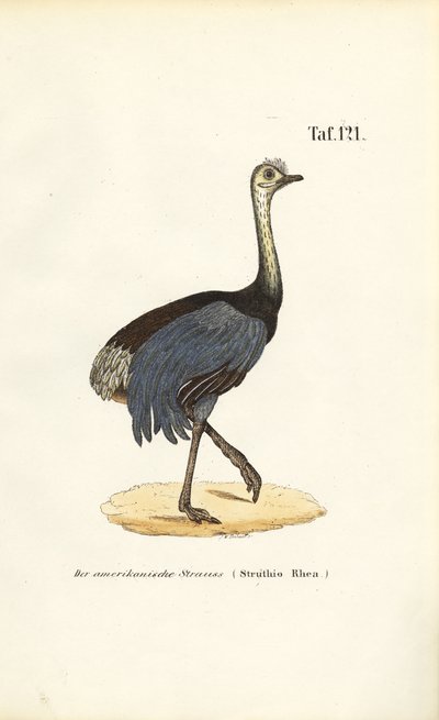  by J. W. Tenhaeff