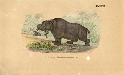  by J. W. Tenhaeff