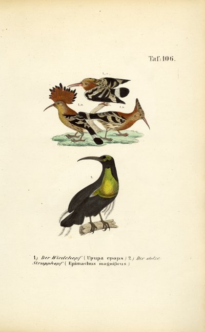  by J. W. Tenhaeff