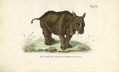  by J. W. Tenhaeff