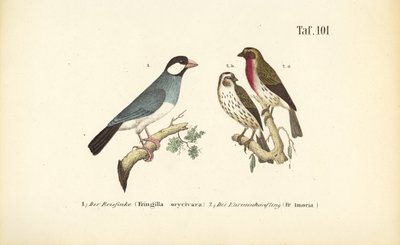  by J. W. Tenhaeff