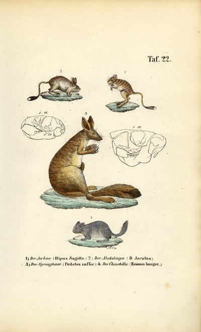  by J. W. Tenhaeff