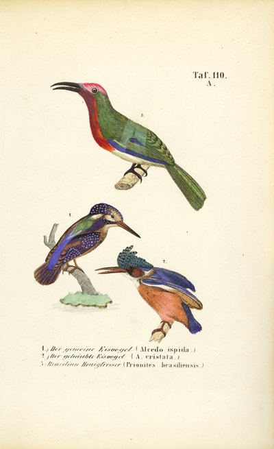  by J. W. Tenhaeff