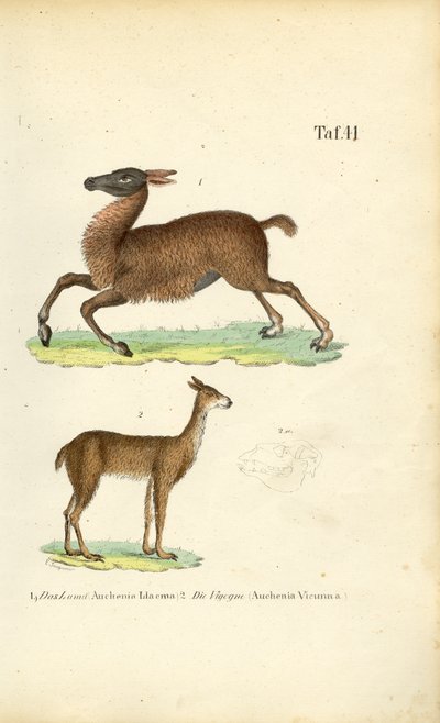  by J. W. Tenhaeff