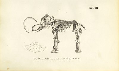  by J. W. Tenhaeff