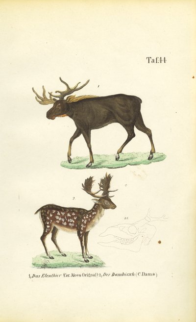  by J. W. Tenhaeff
