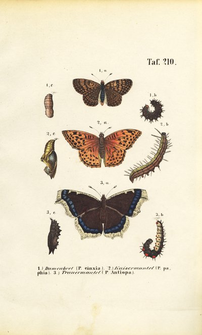  by J. W. Tenhaeff