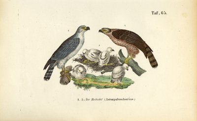  by J. W. Tenhaeff